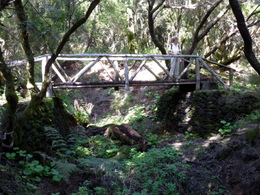 Brücke