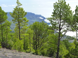Süden