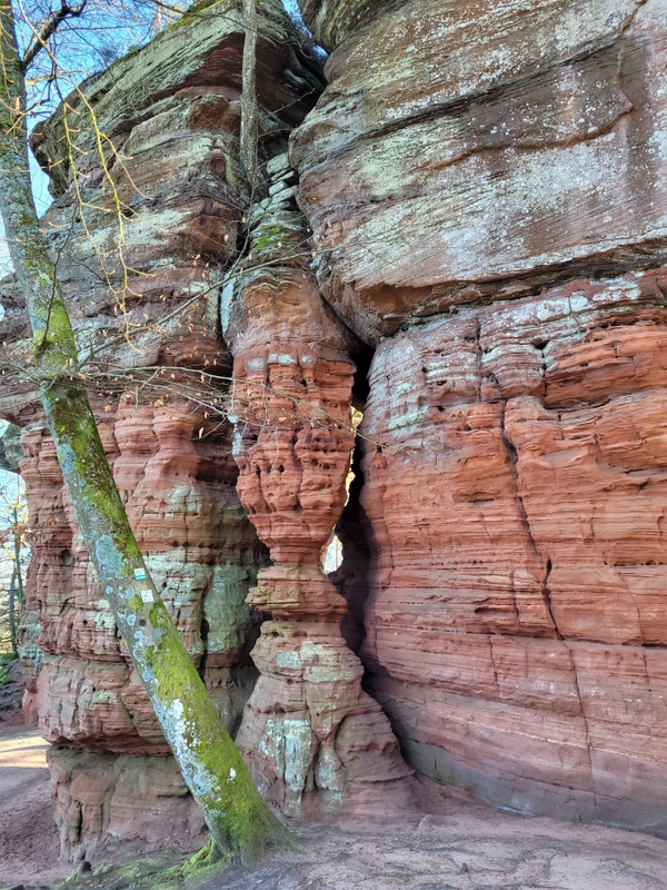 Altschlosspfad – Fotoseite 5