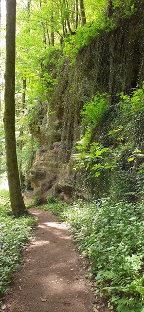 grün1