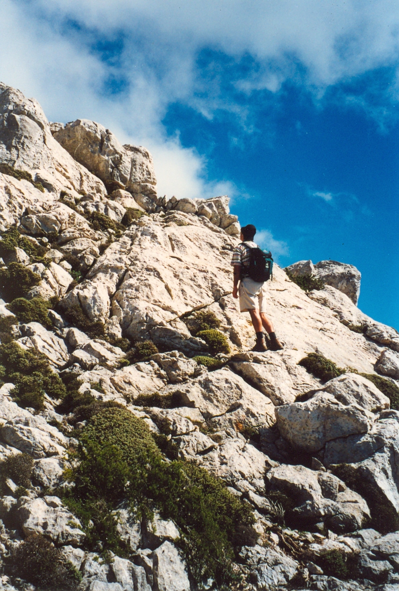 Massanella