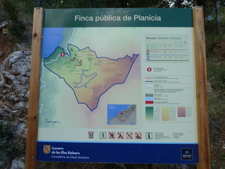 Planicia