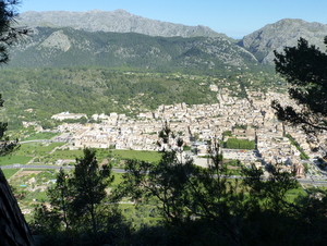 Pollenca