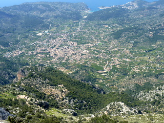 Soller