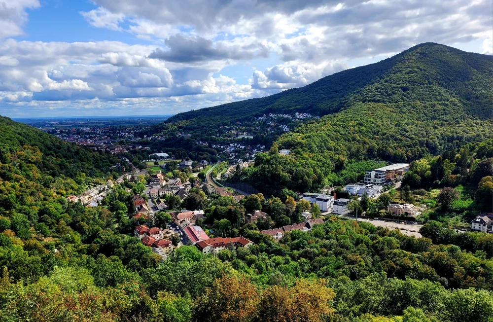 Blick vom Drumrumweg auf Neustadt