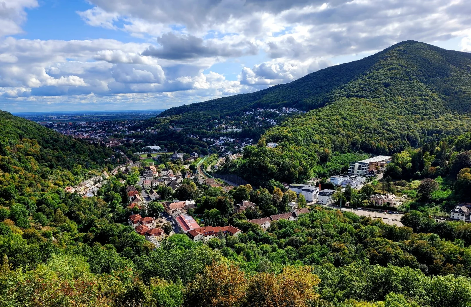 Blick auf Neustadt an der Weinstraße vom Drumrumweg